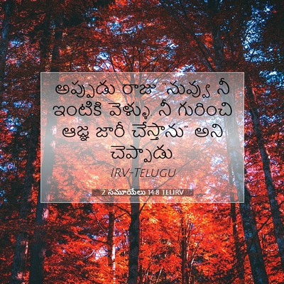 Picture 07 - 2 సమూయేలు 14:8 TELIRV - అప్పుడు రాజు - Bible Verse Picture