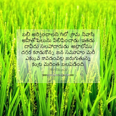 Picture 07 - 2 సమూయేలు 15:12 TELIRV - బలి అర్పించాలని - Bible Verse Picture