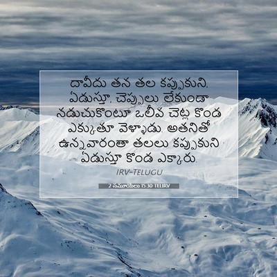 Picture 07 - 2 సమూయేలు 15:30 TELIRV - దావీదు తన తల - Bible Verse Picture