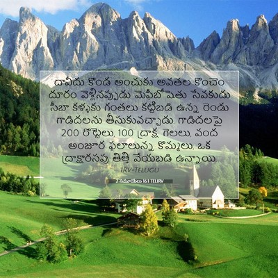 Picture 07 - 2 సమూయేలు 16:1 TELIRV - దావీదు కొండ - Bible Verse Picture