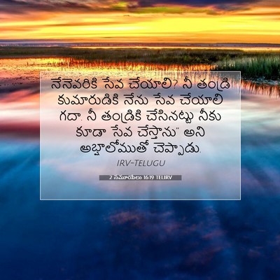 Picture 07 - 2 సమూయేలు 16:19 TELIRV - నేనెవరికి సేవ - Bible Verse Picture