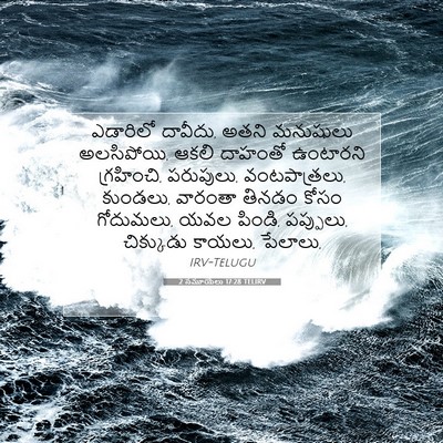 Picture 07 - 2 సమూయేలు 17:28 TELIRV - ఎడారిలో దావీదు, - Bible Verse Picture