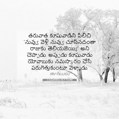 Picture 07 - 2 సమూయేలు 18:21 TELIRV - తరువాత కూషువాడిని - Bible Verse Picture