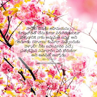 Picture 07 - 2 సమూయేలు 18:22 TELIRV - సాదోకు కొడుకు - Bible Verse Picture