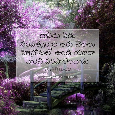 Picture 07 - 2 సమూయేలు 2:11 TELIRV - దావీదు ఏడు - Bible Verse Picture