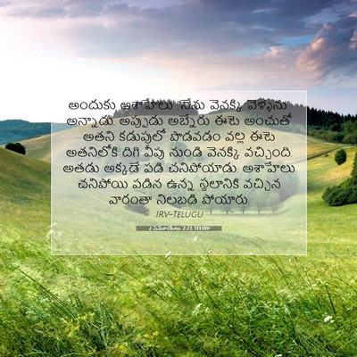 Picture 07 - 2 సమూయేలు 2:23 TELIRV - అందుకు అశాహేలు - Bible Verse Picture