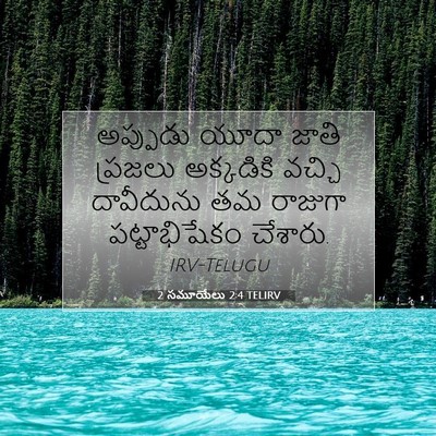 Picture 07 - 2 సమూయేలు 2:4 TELIRV - అప్పుడు యూదా జాతి - Bible Verse Picture