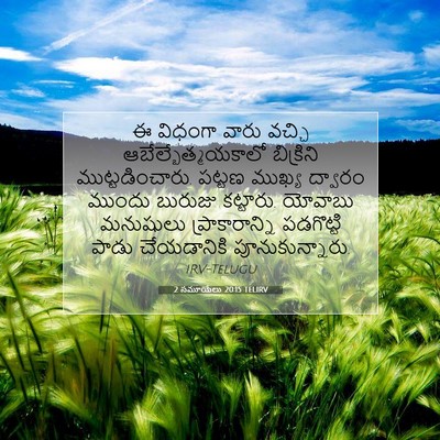 Picture 07 - 2 సమూయేలు 20:15 TELIRV - ఈ విధంగా వారు - Bible Verse Picture