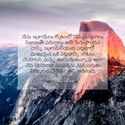 Picture 07 - 2 సమూయేలు 20:19 TELIRV - నేను ఇశ్రాయేలు - Bible Verse Picture