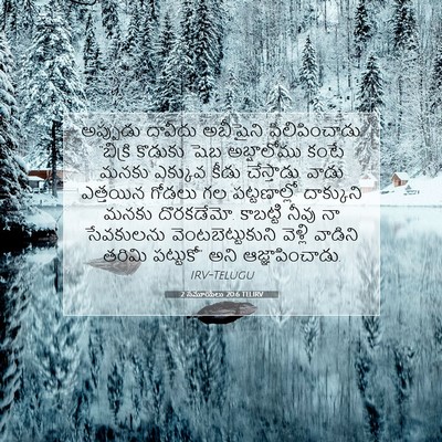 Picture 07 - 2 సమూయేలు 20:6 TELIRV - అప్పుడు దావీదు - Bible Verse Picture