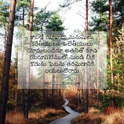 Picture 07 - 2 సమూయేలు 20:7 TELIRV - కాబట్టి యోవాబు - Bible Verse Picture
