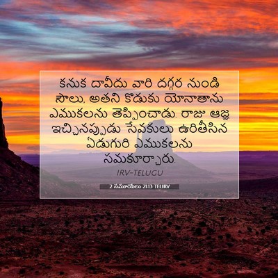 Picture 07 - 2 సమూయేలు 21:13 TELIRV - కనుక దావీదు వారి - Bible Verse Picture
