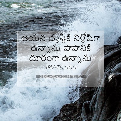 Picture 07 - 2 సమూయేలు 22:24 TELIRV - ఆయన దృష్టికి - Bible Verse Picture