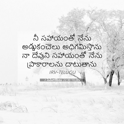 Picture 07 - 2 సమూయేలు 22:30 TELIRV - నీ సహాయంతో నేను - Bible Verse Picture