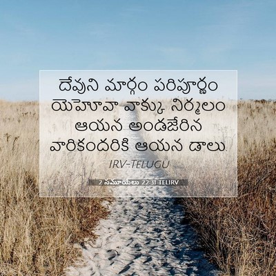 Picture 07 - 2 సమూయేలు 22:31 TELIRV - దేవుని మార్గం - Bible Verse Picture