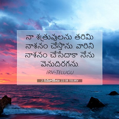 Picture 07 - 2 సమూయేలు 22:38 TELIRV - నా శత్రువులను - Bible Verse Picture