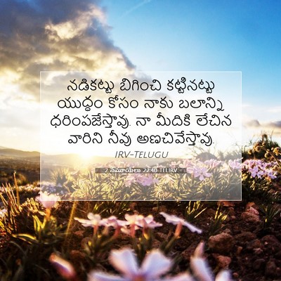 Picture 07 - 2 సమూయేలు 22:40 TELIRV - నడికట్టు బిగించి - Bible Verse Picture