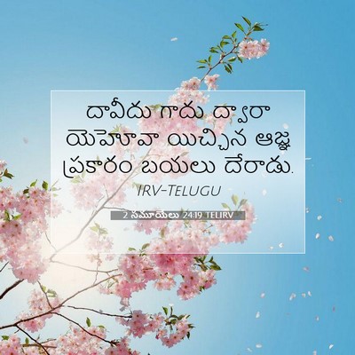 Picture 07 - 2 సమూయేలు 24:19 TELIRV - దావీదు గాదు - Bible Verse Picture
