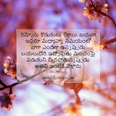 Picture 07 - 2 సమూయేలు 4:5 TELIRV - రిమ్మోను కొడుకులు - Bible Verse Picture