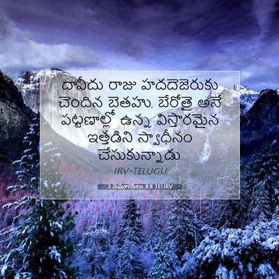 Picture 07 - 2 సమూయేలు 8:8 TELIRV - దావీదు రాజు - Bible Verse Picture