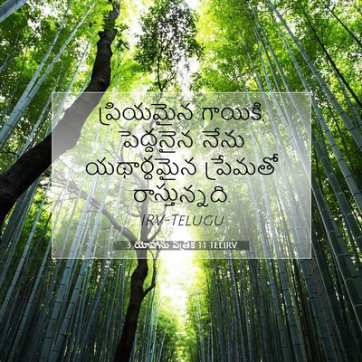 Picture 07 - 3 యోహాను పత్రిక 1:1 TELIRV - ప్రియమైన గాయికి, - Bible Verse Picture