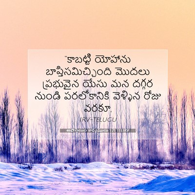 Picture 07 - అపొస్తలుల కార్యములు 1:21 TELIRV - “కాబట్టి యోహాను - Bible Verse Picture