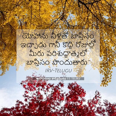 Picture 07 - అపొస్తలుల కార్యములు 1:5 TELIRV - యోహాను నీళ్లతో - Bible Verse Picture