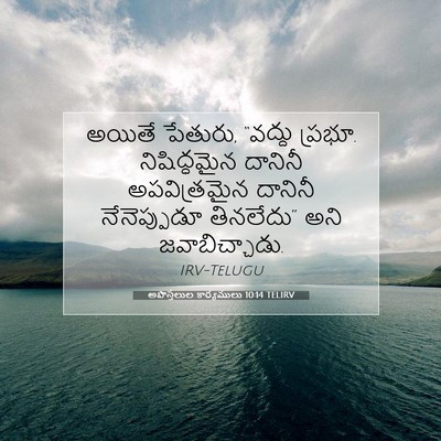 Picture 07 - అపొస్తలుల కార్యములు 10:14 TELIRV - అయితే పేతురు, - Bible Verse Picture