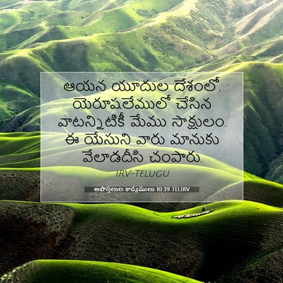 Picture 07 - అపొస్తలుల కార్యములు 10:39 TELIRV - ఆయన యూదుల దేశంలో, - Bible Verse Picture
