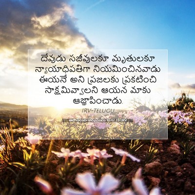 Picture 07 - అపొస్తలుల కార్యములు 10:42 TELIRV - దేవుడు సజీవులకూ - Bible Verse Picture