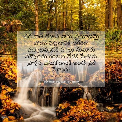 Picture 07 - అపొస్తలుల కార్యములు 10:9 TELIRV - తరువాతి రోజున - Bible Verse Picture