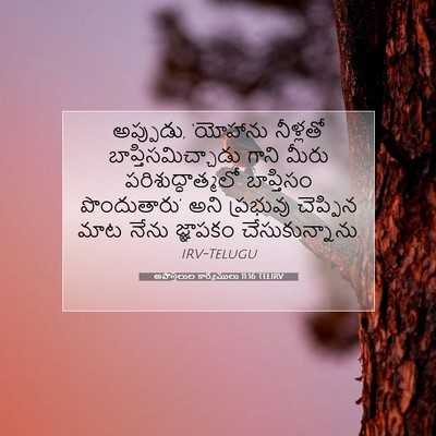 Picture 07 - అపొస్తలుల కార్యములు 11:16 TELIRV - అప్పుడు, ‘యోహాను - Bible Verse Picture