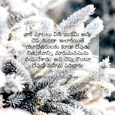 Picture 07 - అపొస్తలుల కార్యములు 11:18 TELIRV - వారీ మాటలు విని - Bible Verse Picture