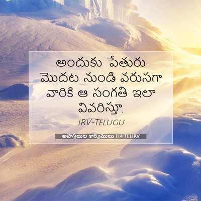 Picture 07 - అపొస్తలుల కార్యములు 11:4 TELIRV - అందుకు పేతురు - Bible Verse Picture