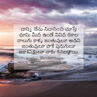 Picture 07 - అపొస్తలుల కార్యములు 11:6 TELIRV - దాన్ని నేను - Bible Verse Picture