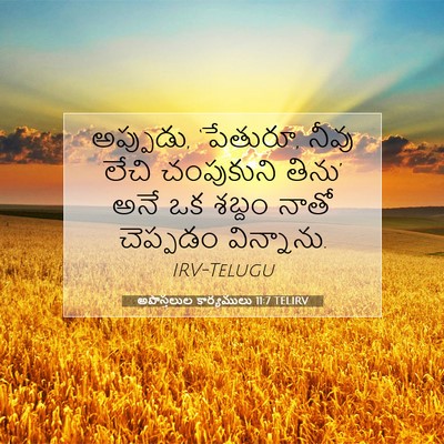 Picture 07 - అపొస్తలుల కార్యములు 11:7 TELIRV - అప్పుడు, ‘పేతురూ, - Bible Verse Picture