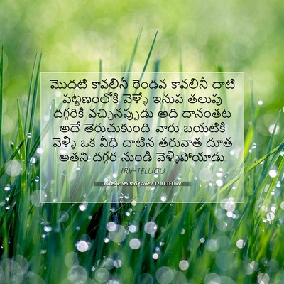 Picture 07 - అపొస్తలుల కార్యములు 12:10 TELIRV - మొదటి కావలినీ - Bible Verse Picture