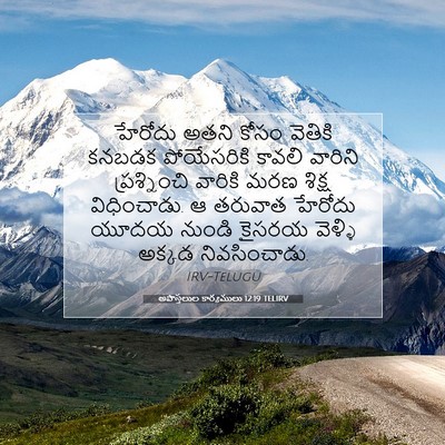Picture 07 - అపొస్తలుల కార్యములు 12:19 TELIRV - హేరోదు అతని కోసం - Bible Verse Picture