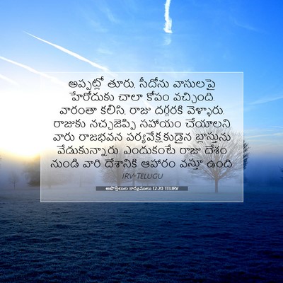 Picture 07 - అపొస్తలుల కార్యములు 12:20 TELIRV - అప్పట్లో తూరు, - Bible Verse Picture