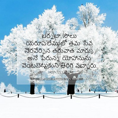 Picture 07 - అపొస్తలుల కార్యములు 12:25 TELIRV - బర్నబా, సౌలు - Bible Verse Picture