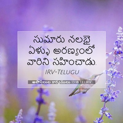 Picture 07 - అపొస్తలుల కార్యములు 13:18 TELIRV - సుమారు నలభై ఏళ్ళు - Bible Verse Picture