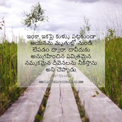 Picture 07 - అపొస్తలుల కార్యములు 13:34 TELIRV - ఇంకా, ఇకపై కుళ్ళు - Bible Verse Picture