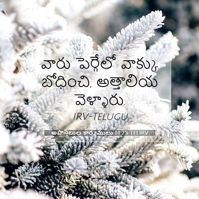 Picture 07 - అపొస్తలుల కార్యములు 14:25 TELIRV - వారు పెర్గేలో - Bible Verse Picture