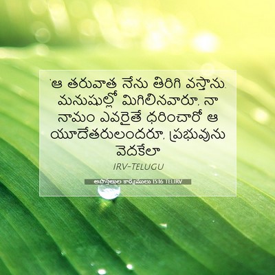Picture 07 - అపొస్తలుల కార్యములు 15:16 TELIRV - ‘ఆ తరువాత నేను - Bible Verse Picture