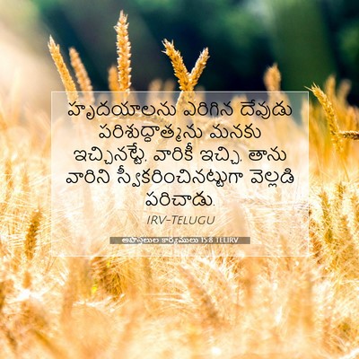 Picture 07 - అపొస్తలుల కార్యములు 15:8 TELIRV - హృదయాలను ఎరిగిన - Bible Verse Picture