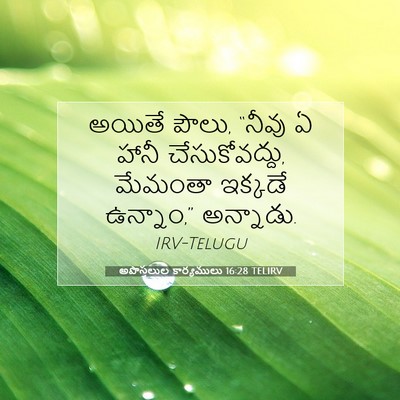 Picture 07 - అపొస్తలుల కార్యములు 16:28 TELIRV - అయితే పౌలు, “నీవు ఏ - Bible Verse Picture
