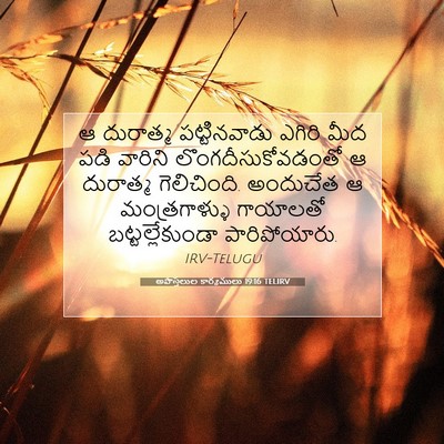 Picture 07 - అపొస్తలుల కార్యములు 19:16 TELIRV - ఆ దురాత్మ - Bible Verse Picture