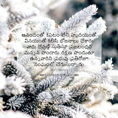 Picture 07 - అపొస్తలుల కార్యములు 2:47 TELIRV - ఆనందంతో, కపటం లేని - Bible Verse Picture