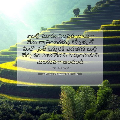 Picture 07 - అపొస్తలుల కార్యములు 20:31 TELIRV - కాబట్టి మూడు - Bible Verse Picture