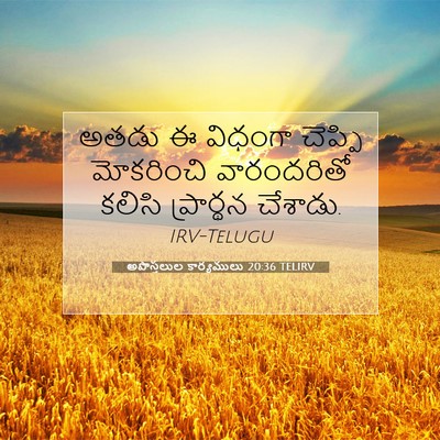 Picture 07 - అపొస్తలుల కార్యములు 20:36 TELIRV - అతడు ఈ విధంగా - Bible Verse Picture